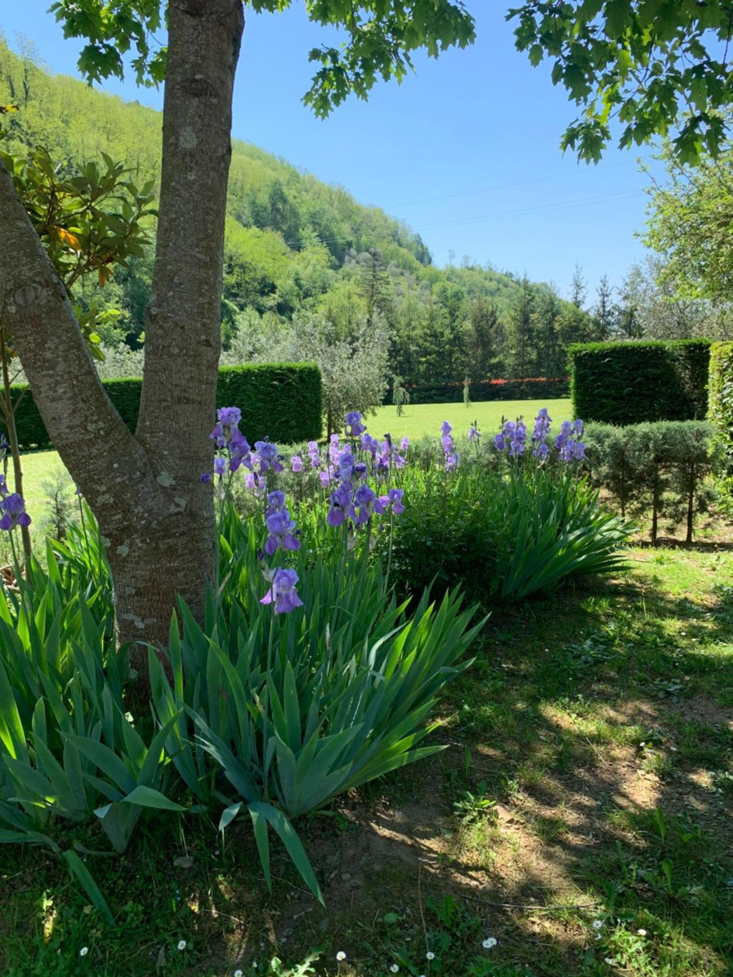 Podere Campofossato Pistoya Exterior foto
